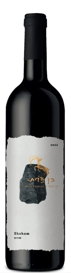 שהם בן פורת.