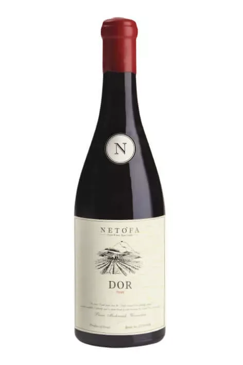 דור סירה בציר 2021.