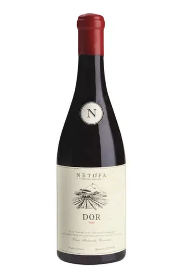 דור סירה בציר 2018.