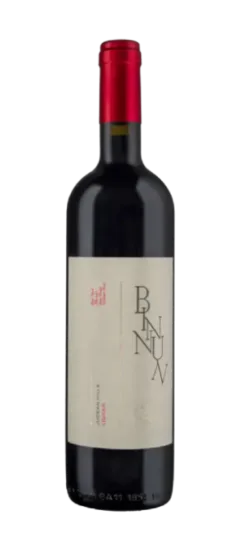 בן נון בורדולזי 2023