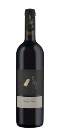 בן נון שירת דוד 2023